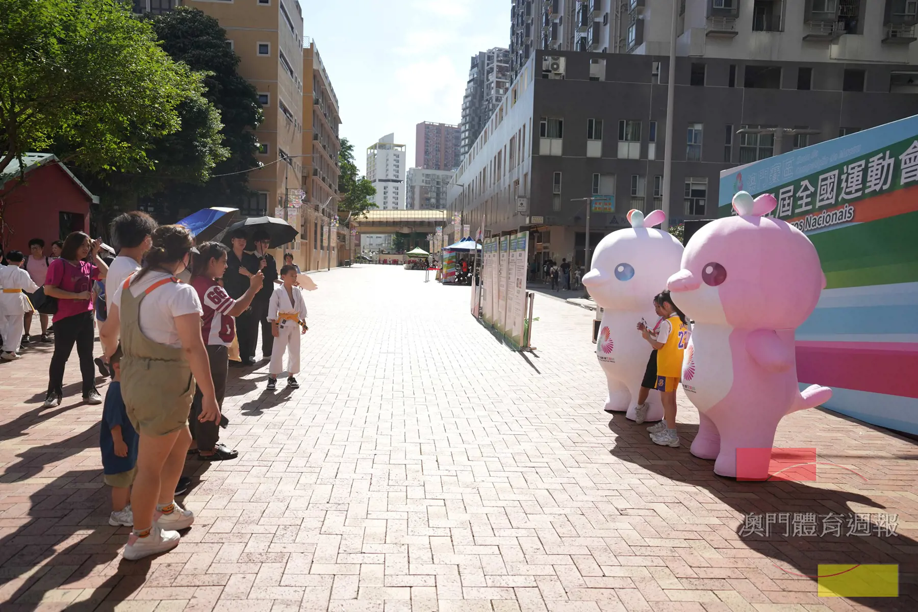 十五運會和殘特奧會吉祥物深受市民歡迎。.jpg