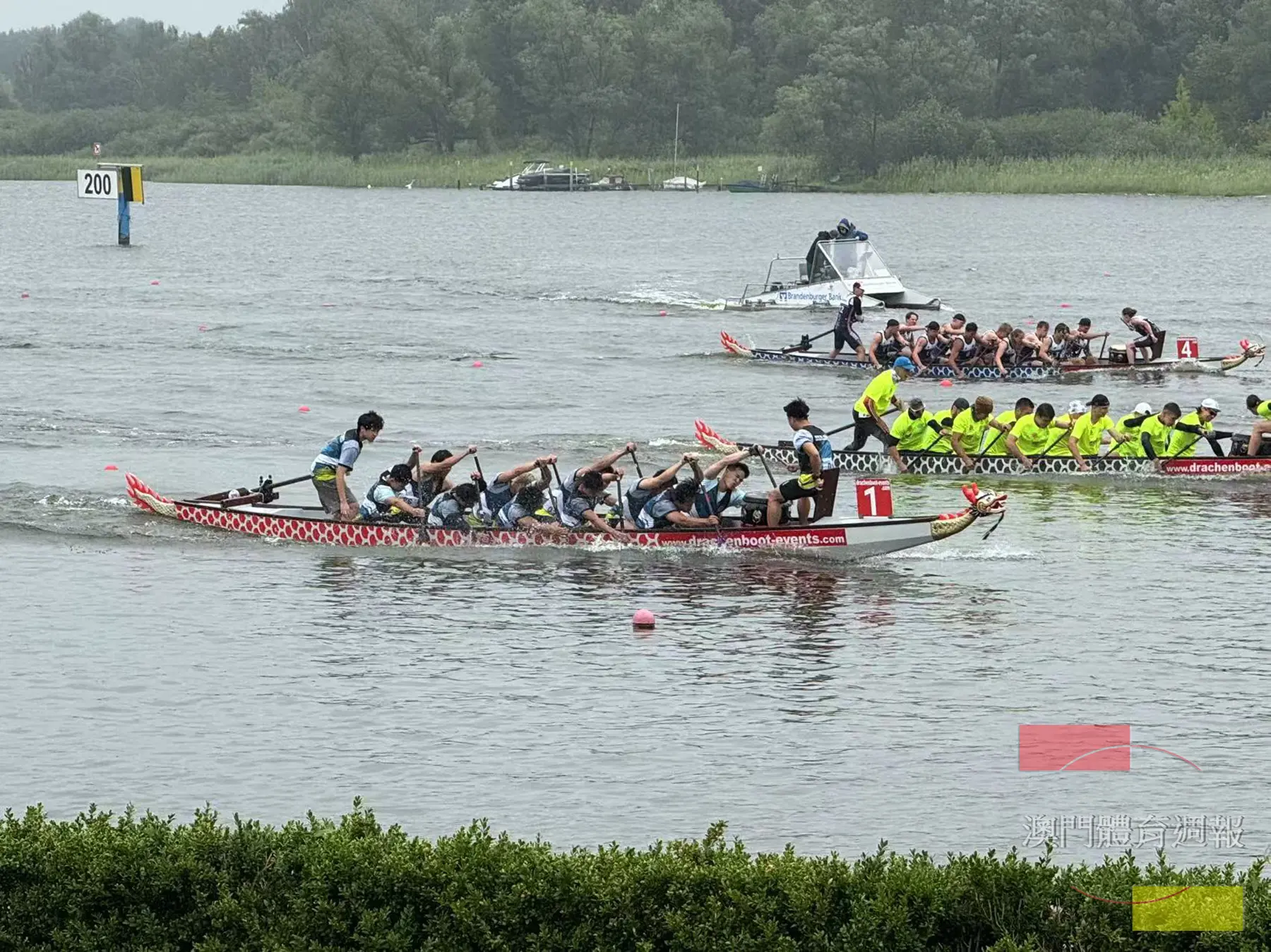 澳門年青隊伍於24U小龍二百米奪銀.jpg