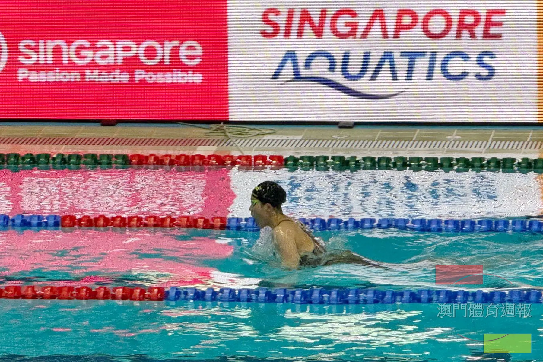 馬卓薇把女子200混先進分齡紀錄推前10秒.jpg
