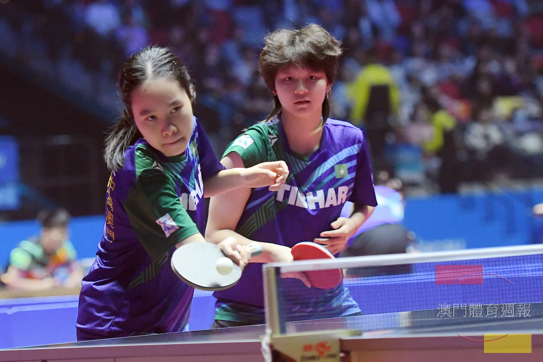 乒乓球女團一日兩賽.jpg
