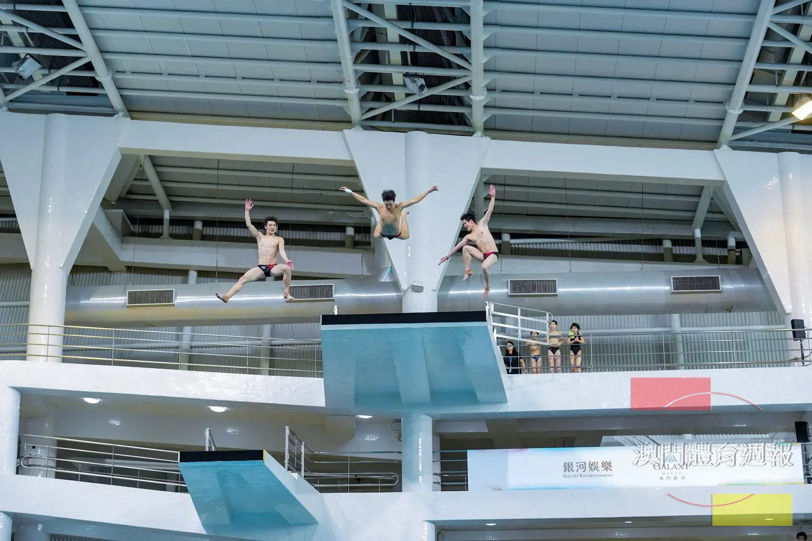 夢之隊”表演花式跳水，觀賞性十足。.jpg