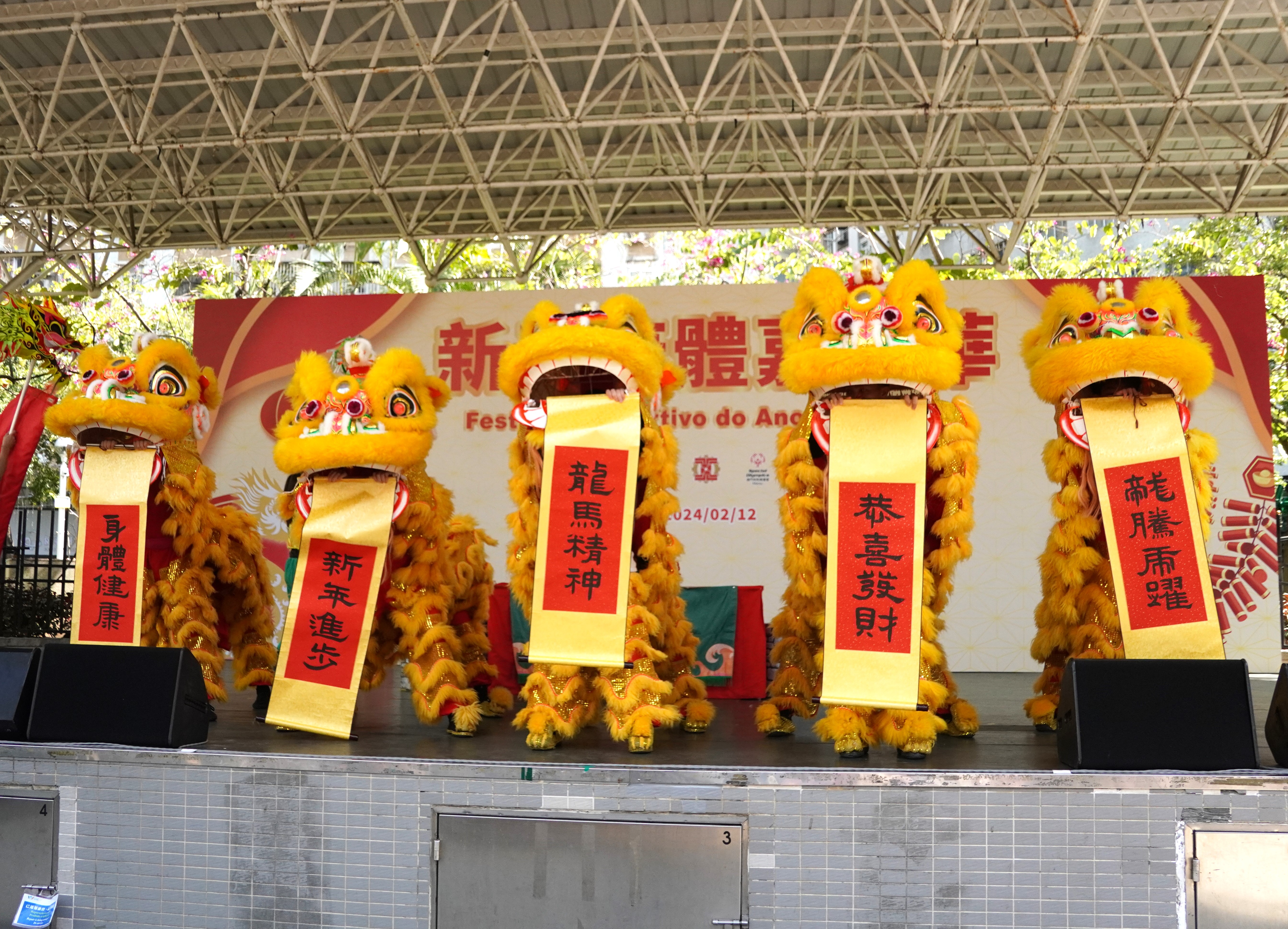 五頭醒獅為市民送上祝福.JPG