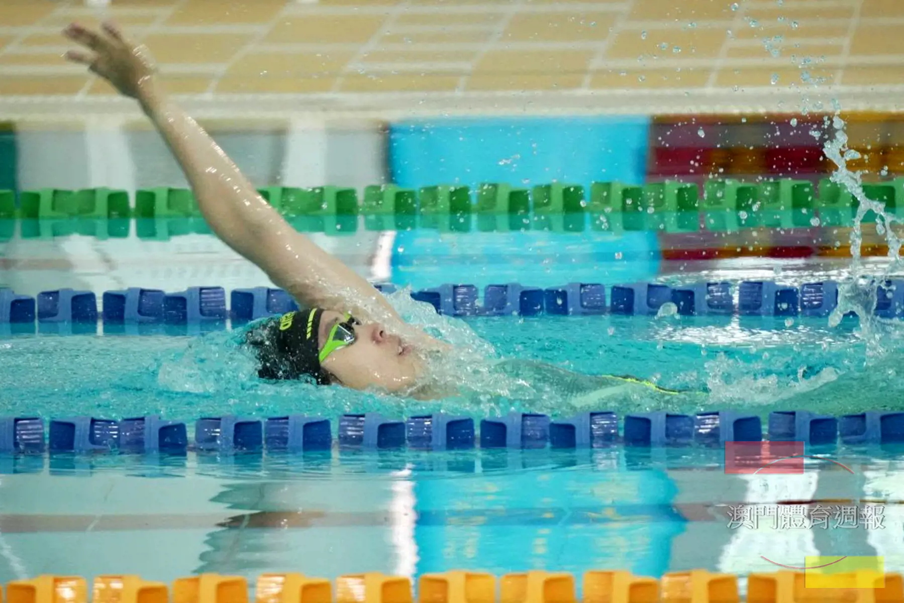 馬卓薇不為自己設限敢於挑戰不同泳式.jpg