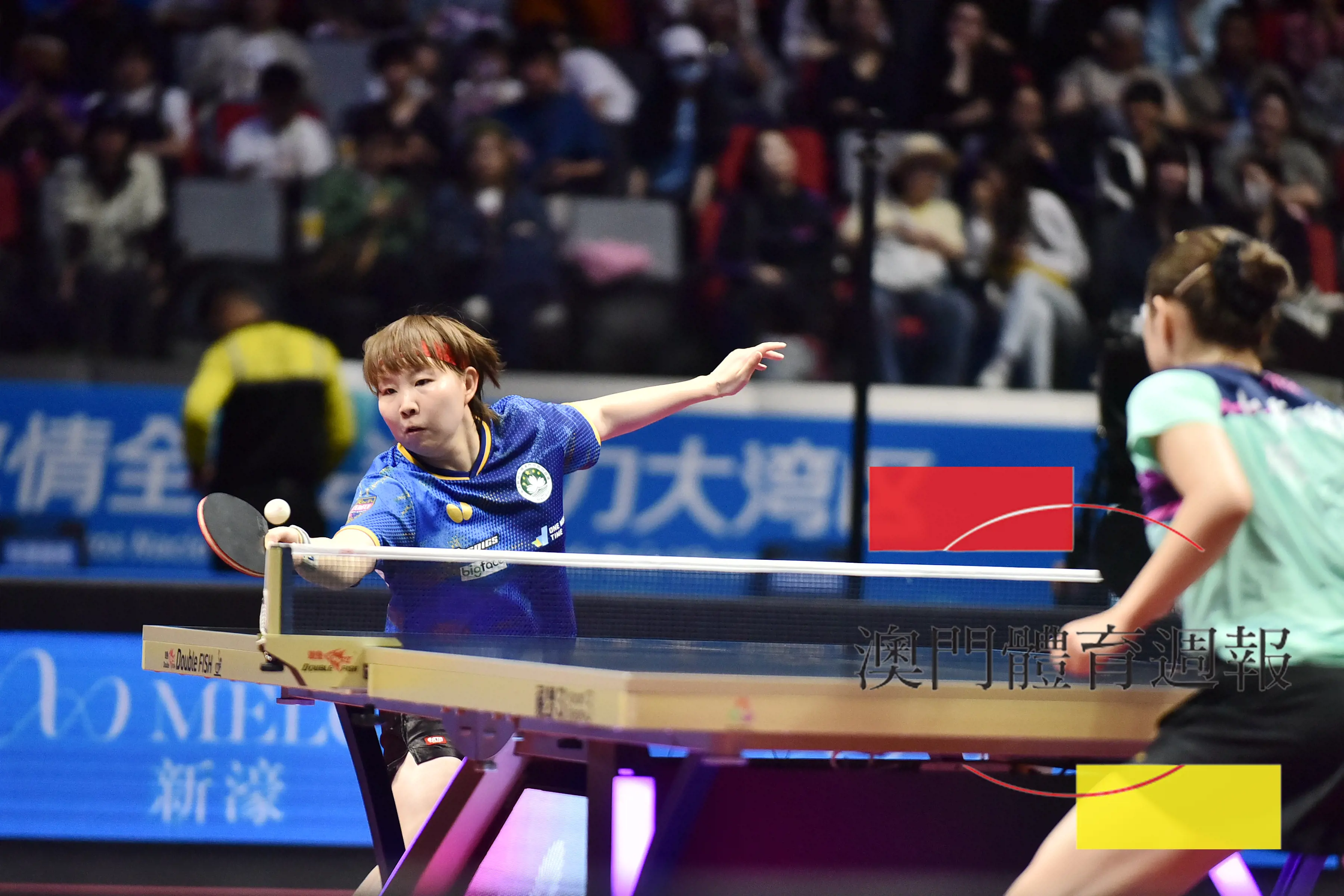 乒乓球朱雨玲拼盡全力惜負陳夢.jpg